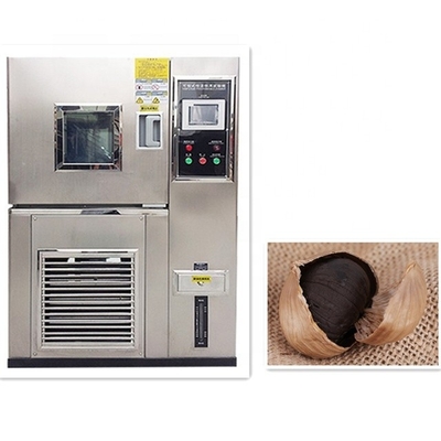 Máquinas de fermentação de alho preto para alimentos e bebidas com capacidade de 100 a 480 kg/hora e grandes