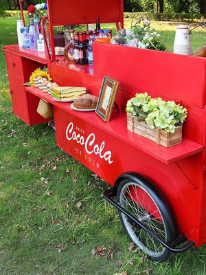 Carrinhos de café multifunção Food Trailer Carrinho de comida móvel Ice Cream Mini Food Truck